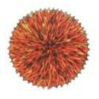 Società per la Cremazione di Prato ODV